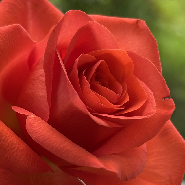 ROT und GRÜN…