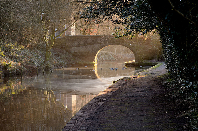 On Golden canal