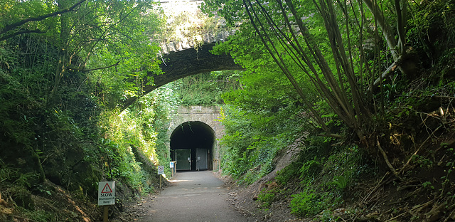 Tidenham Tunnel