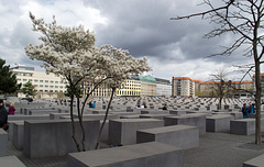 Berlin, Memorial to the Murdered Jews of Europe (#2016)