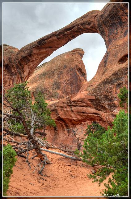 Double O arch, Arches