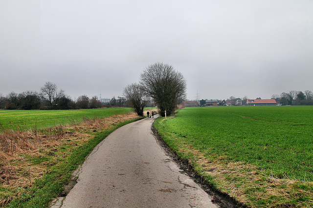 Husackerstraße (Wattenscheid-Eppendorf) / 17.02.2024