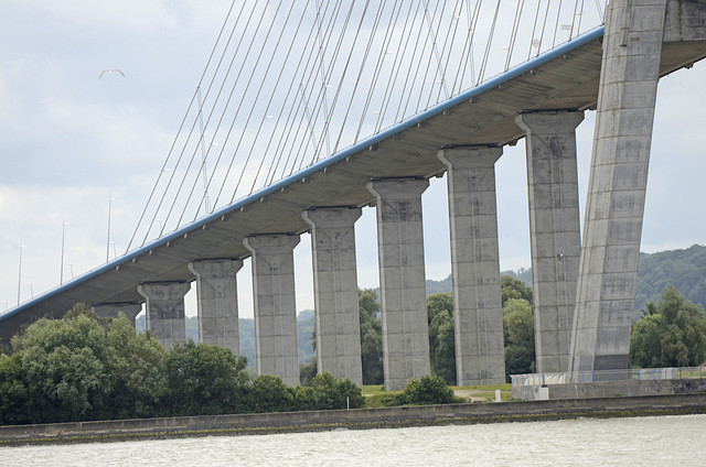 les dessous du pont de Normandie