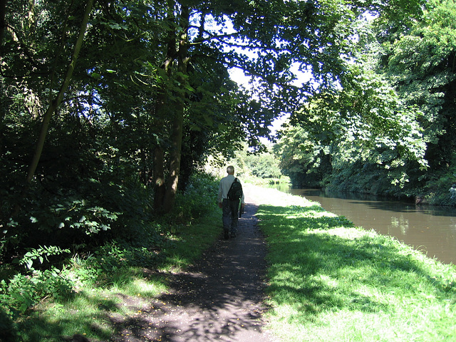 Staffs and Worcs Canal alongside Lea Lane