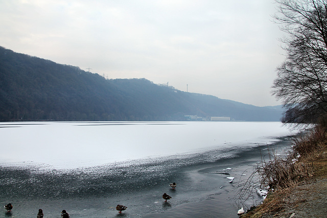 Zugefrohener Hengsteysee (Hagen-Hengstey) / 3.03.2018