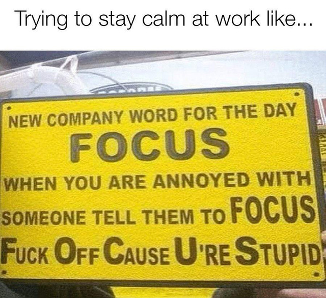 O&S (meme) - focus group