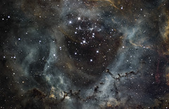 Rosette Nebula Close up NGC2244.