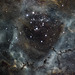 Rosette Nebula Close up NGC2244.