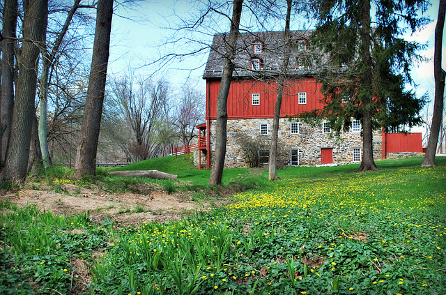 HFF From Jerusalem Mill!