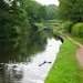 Heron takes off from the Staffordshire and Worcestershire Canal