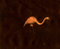 Flamingo - Colors inverted
