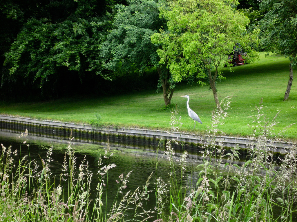 Staffordshire and Worcestershire Canal