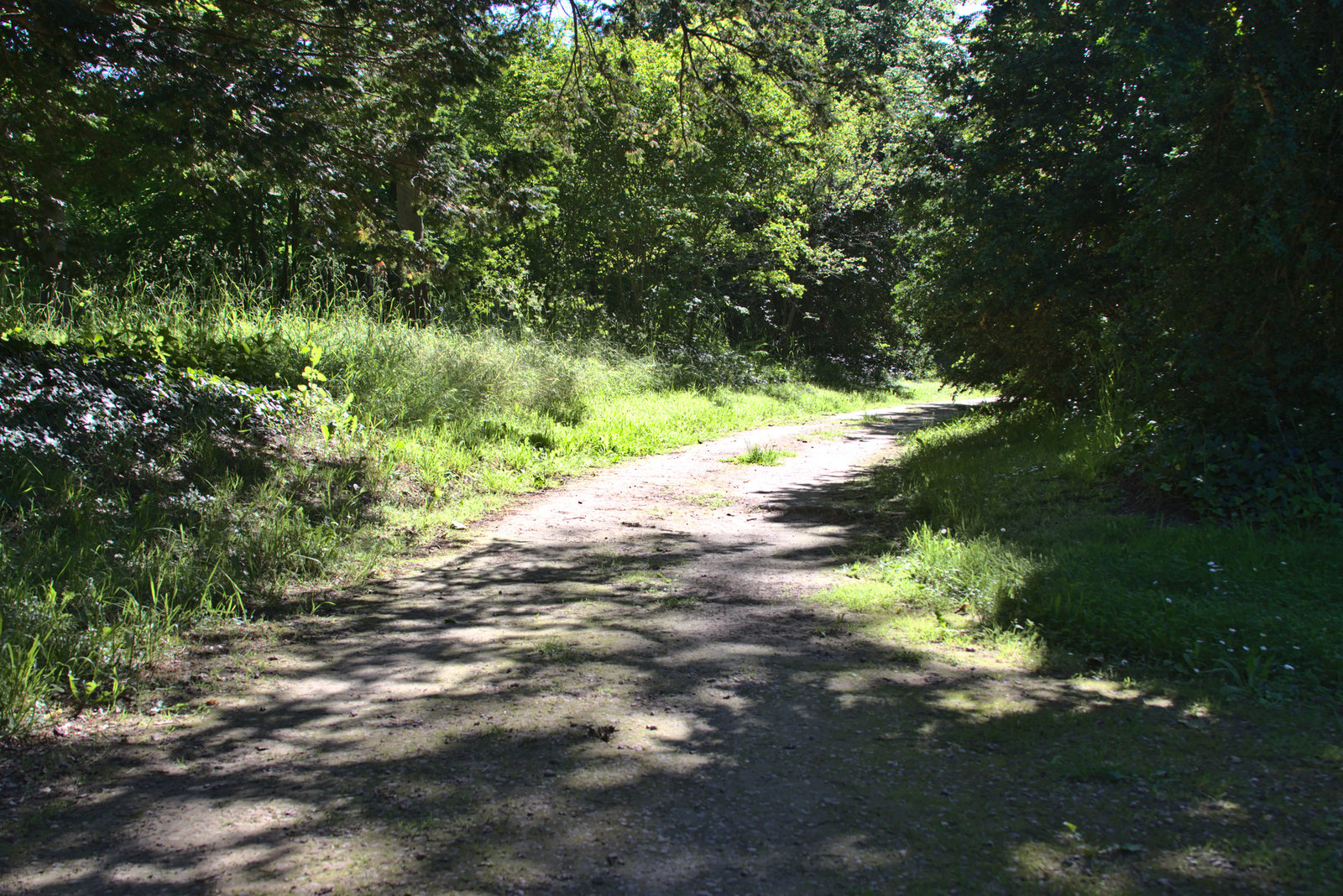 img 0021