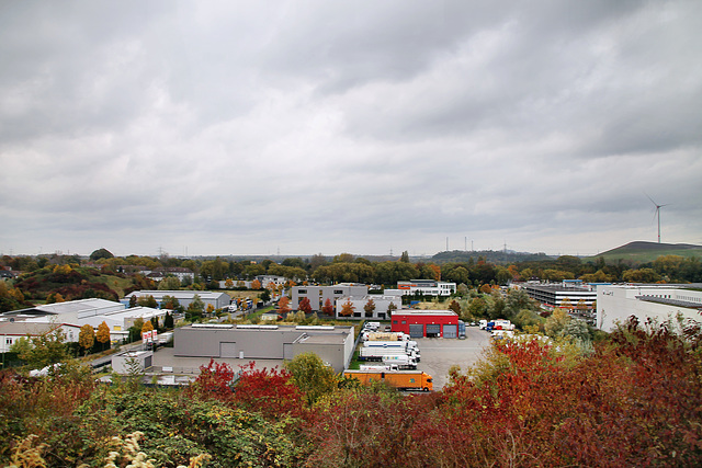 Aussicht von der Halde Welheim (Bottrop-Boy) / 20.10.2021