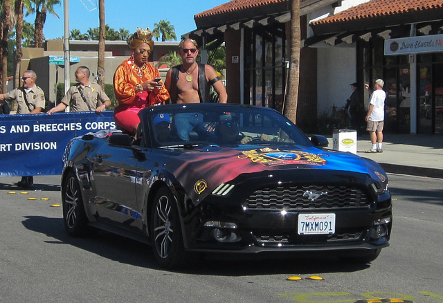 Palm Springs Gay Pride 2015 (#5244)