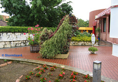 Shi shi The Shinto Lion dog made of flowers Theme Park Okinawa