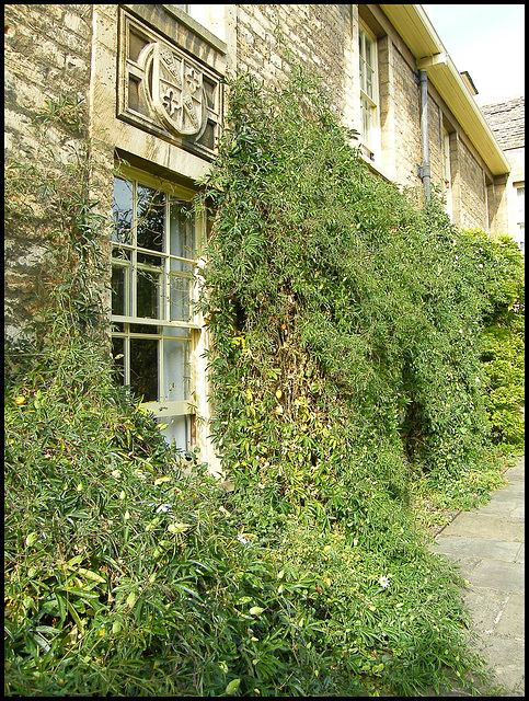 Darbishire window