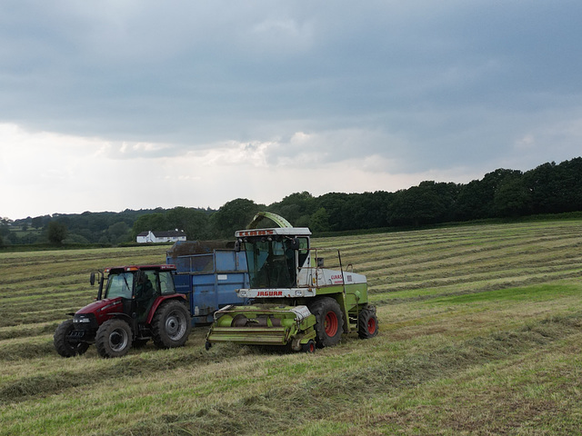 More silage