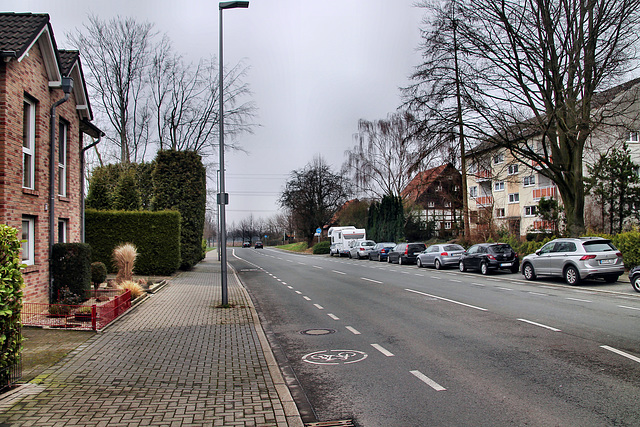 Engelsburger Straße (Wattenscheid-Eppendorf) / 17.02.2024