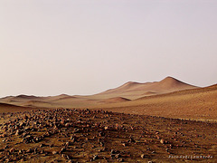 Paracas /Peru