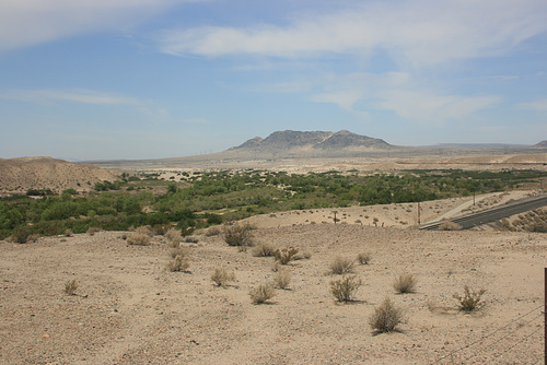 IMG 1309