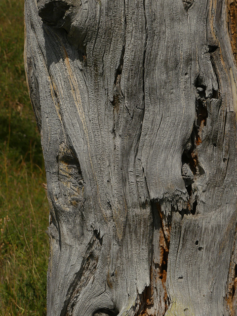 20180827 -0901 Randos Névache (Vallée de la Clarée 05) (175) al