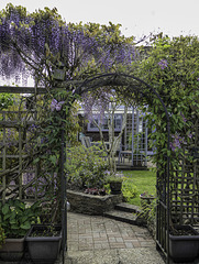 A garden view for HFF