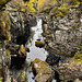 At Dog Falls on the River Affric