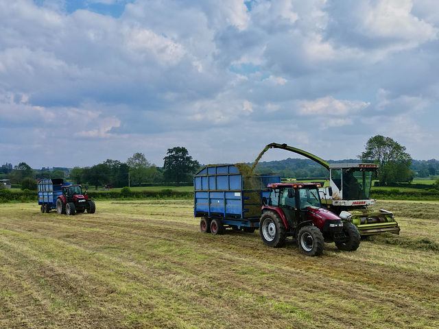 More silage