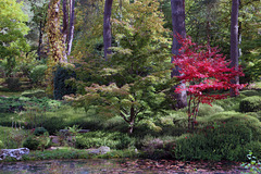 L'art de se démarquer pour sortir du lot ..