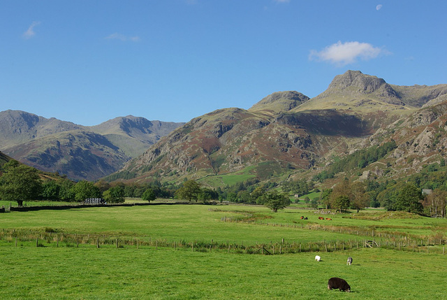 Great Langdale (looking West)