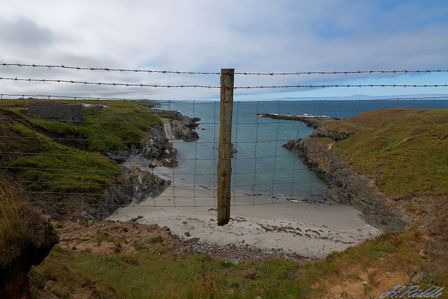 Landslide fence