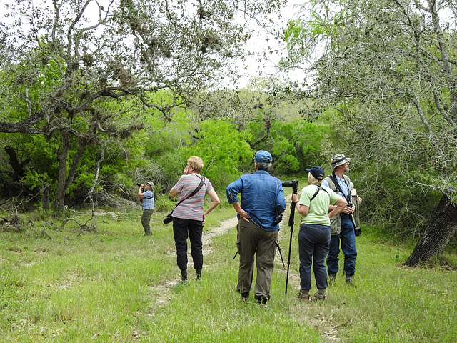 Day 5, where IS that bird? King Ranch, Norias Division