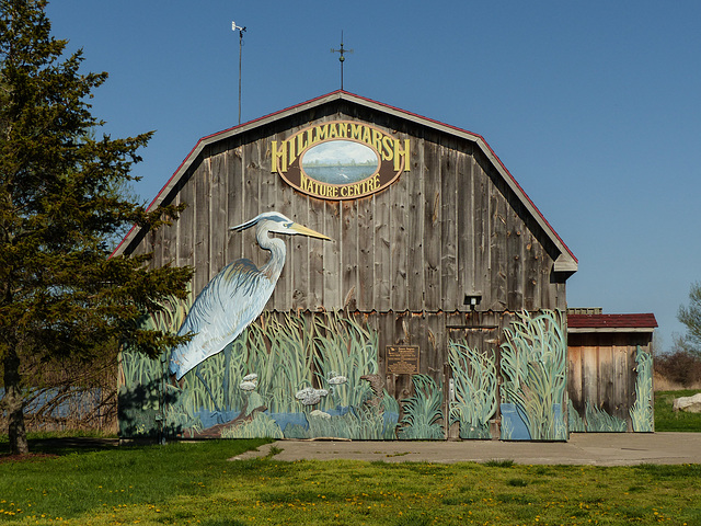 Barn at Hillman Marsh, near Pt Pelee