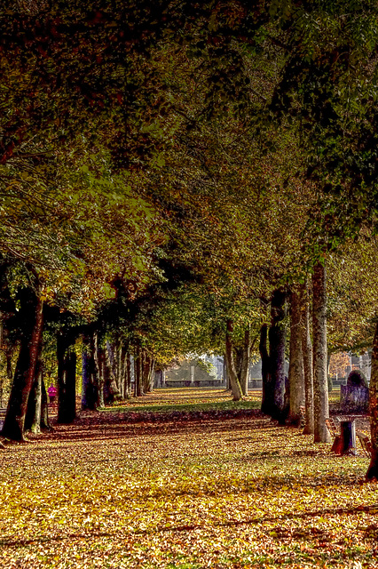 Parc Lorrain