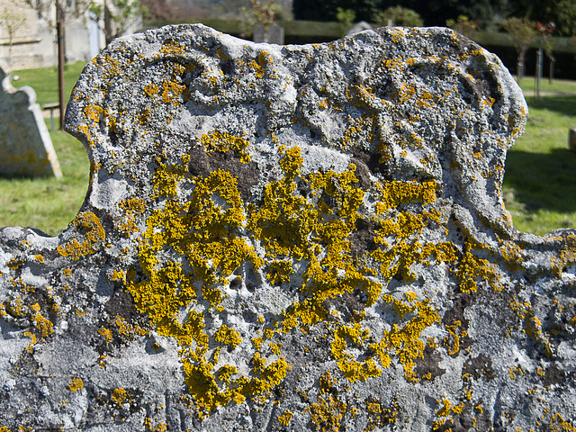 St Paul's Walden tombstone (2)