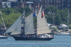 Sails up