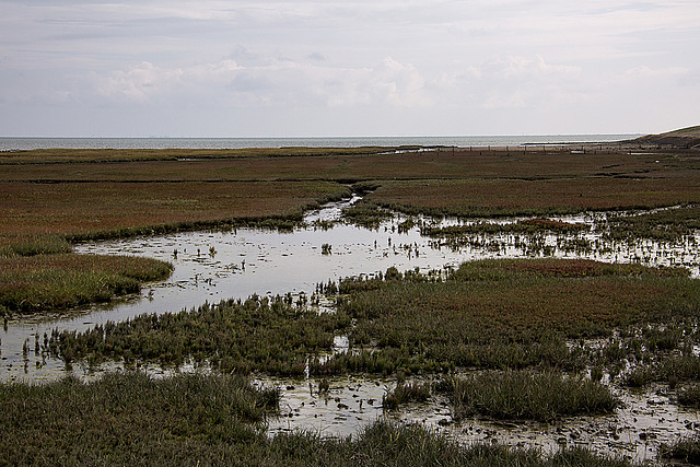 20140914 5302VRAw [NL] Terschelling