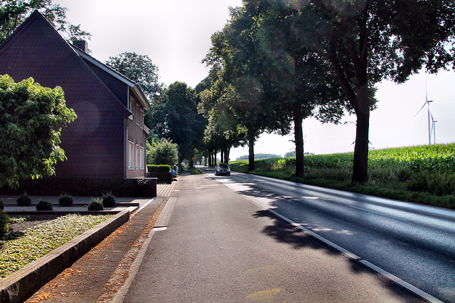 Rhader Straße (Dorsten-Lembeck) / 20.07.2024