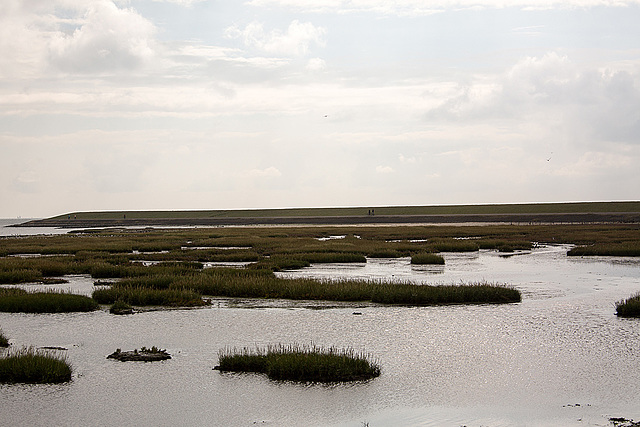 20140914 5301VRAw [NL] Terschelling