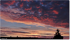 ANGERS