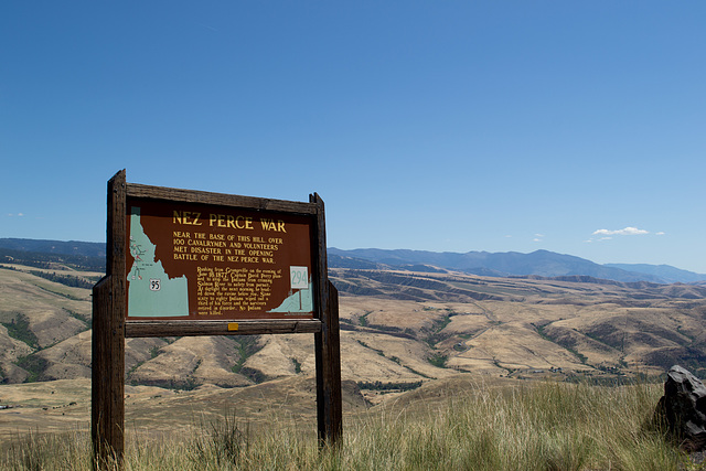 White Bird ID Nez Perce (#0145)