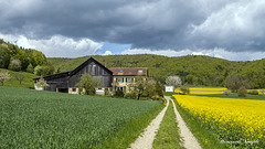 Baurnhof  in Beringen