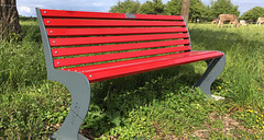 the red bench