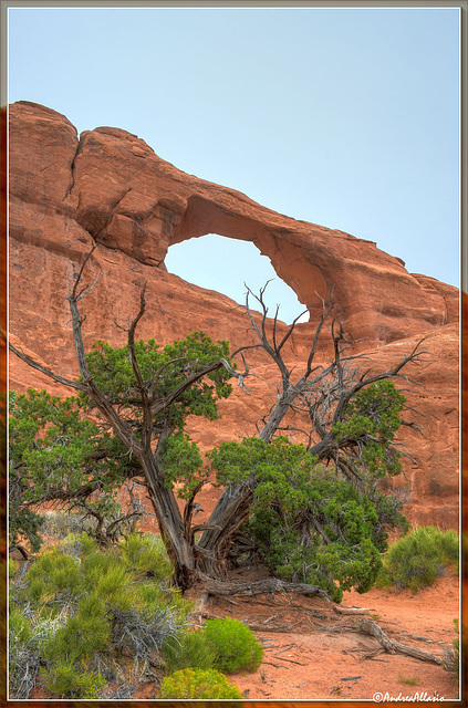 Skyline arch, Arches