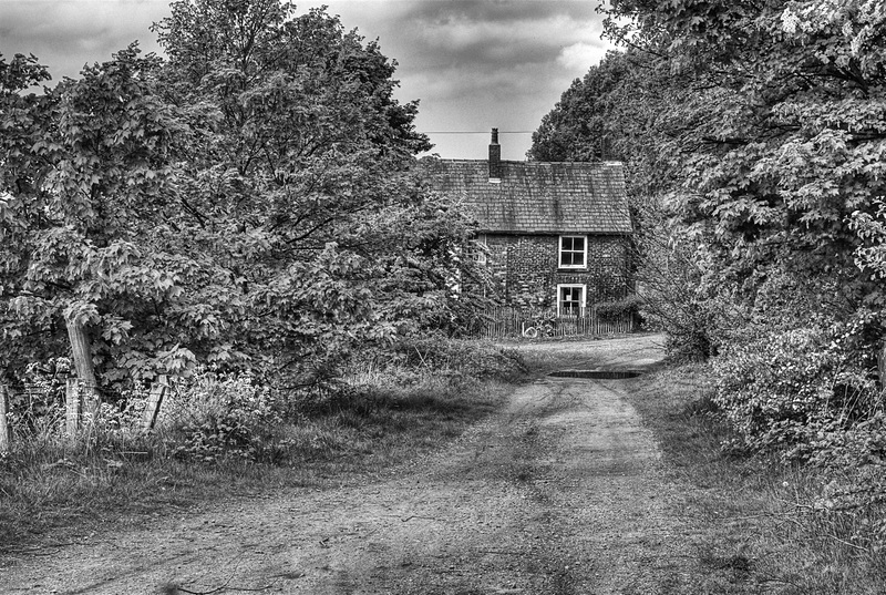 2010-08-13 00003 copy