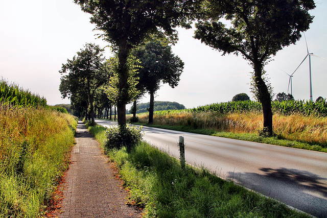 Rhader Straße (Dorsten) / 20.07.2024