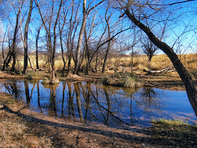 Las Cienegas National Conservation Area