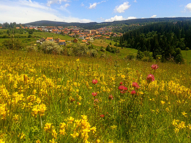 Kneževo - view from the west