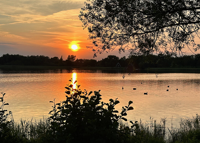 Sonnenuntergang am Inselsee